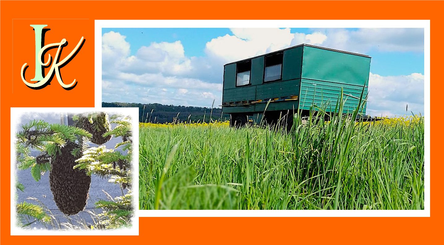 einer unserer Bienenwagen